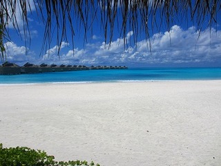 IMG_3602.jpg