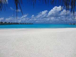 IMG_3607.jpg
