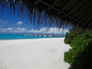 IMG_3627.jpg